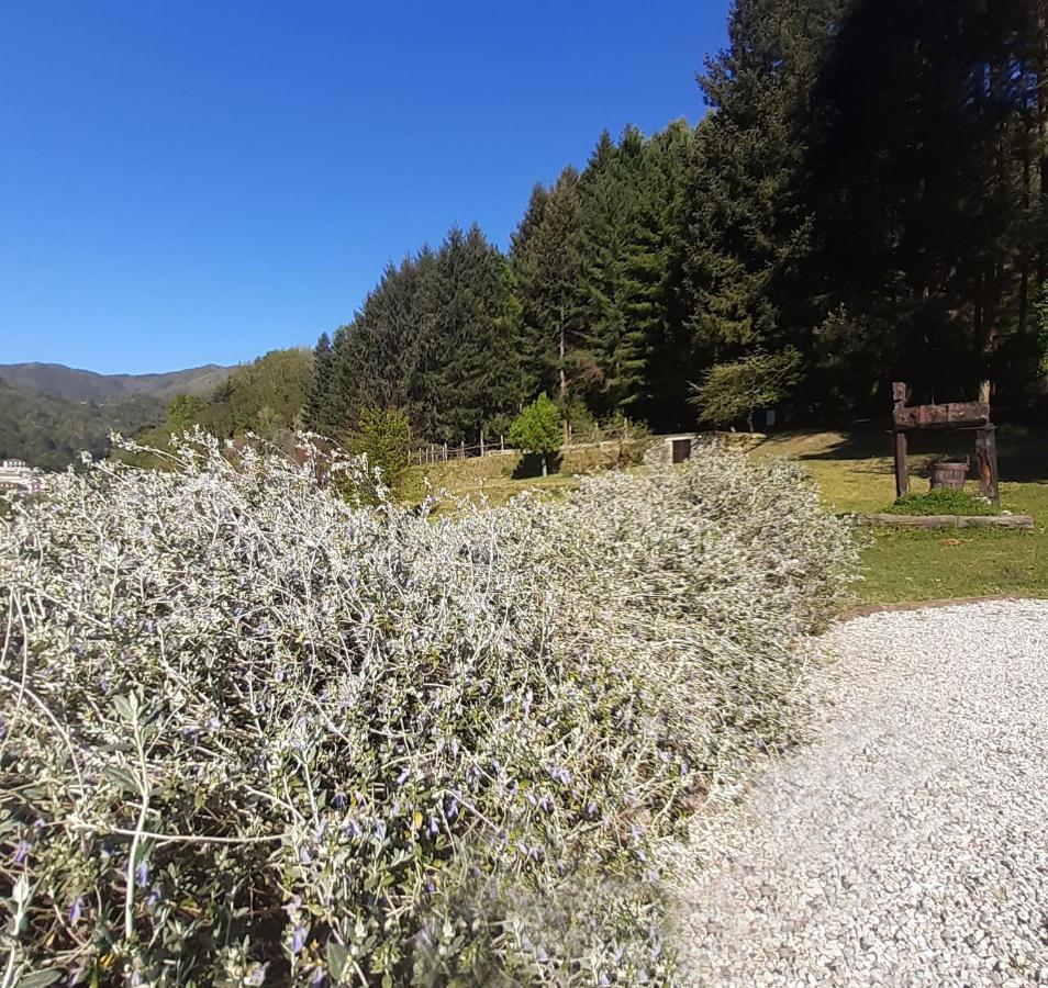 Il Bosco Di Campo Marzano Green & Sky Borzonasca المظهر الخارجي الصورة